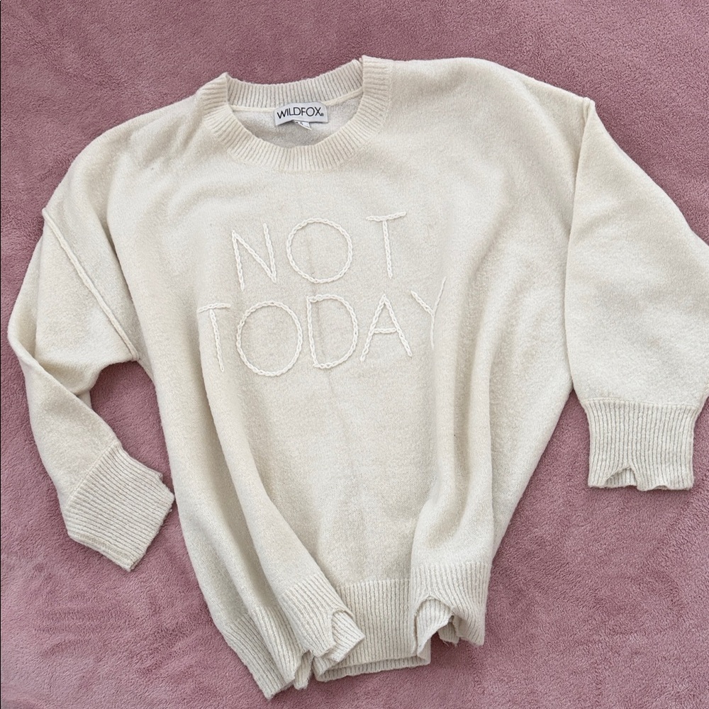 Wildfox Beige Crewneck Sweater - 'Not Today' Embroidery